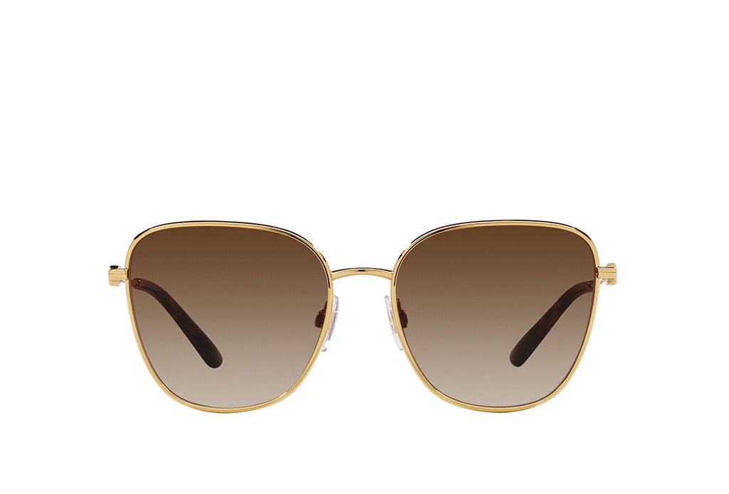Dolce & Gabbana 2293 Sunglass