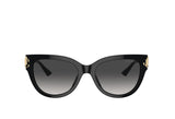 Jimmy Choo 5018U Sunglass