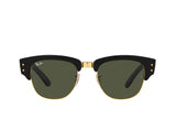Ray-Ban 0316S Sunglass