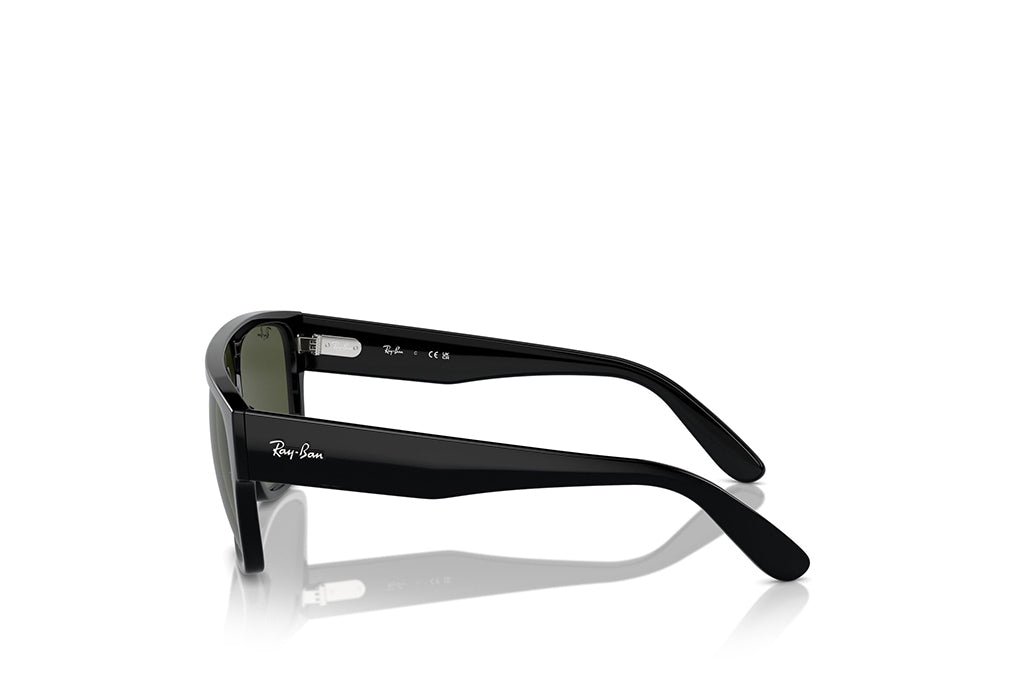 Ray-Ban 0360S Sunglass