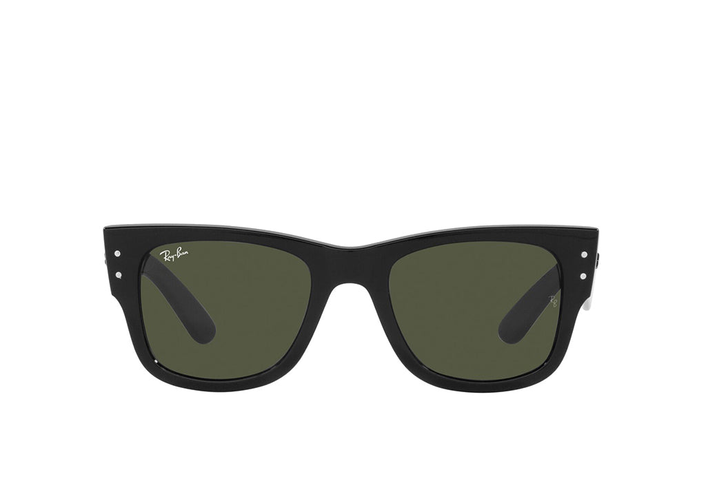 Ray-Ban 0840S Sunglass