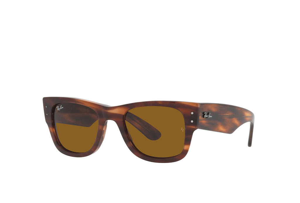 Ray-Ban 0840S Sunglass
