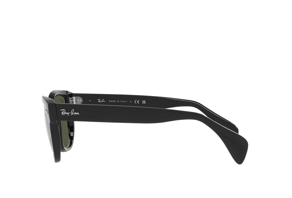 Ray-Ban 0880S Sunglass