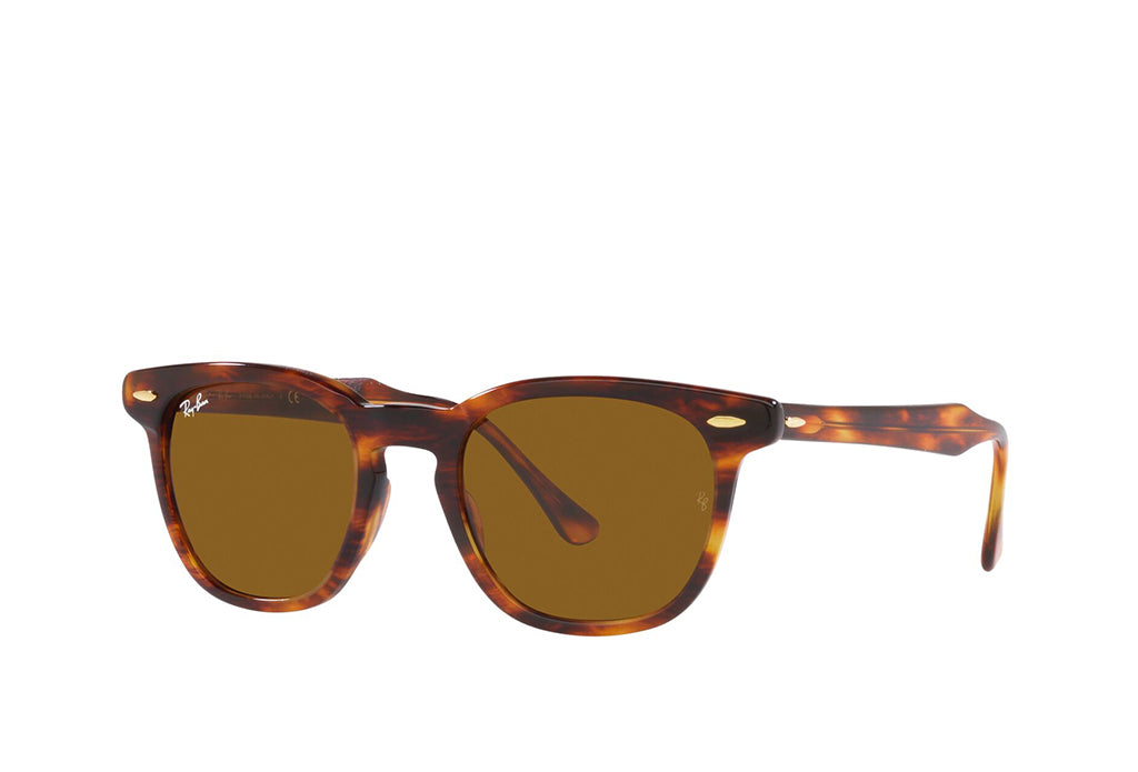 Ray ban hot sale 4140 polarized