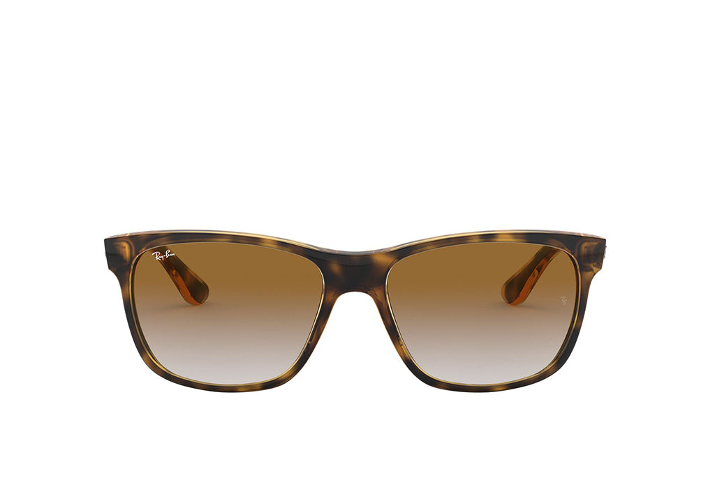 Ray-Ban 4181 Sunglass