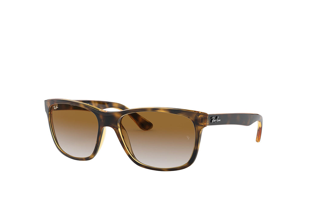 Ray-Ban 4181 Sunglass