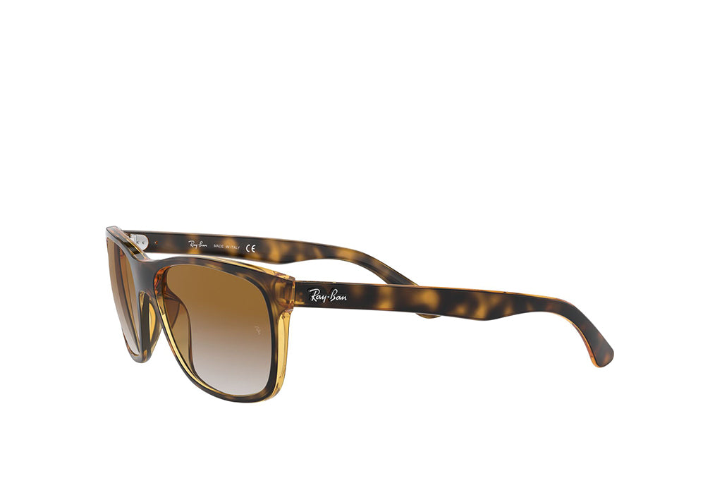 Ray-Ban 4181 Sunglass