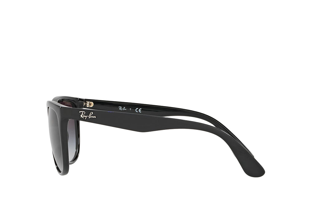 Ray-Ban 4251I Sunglass