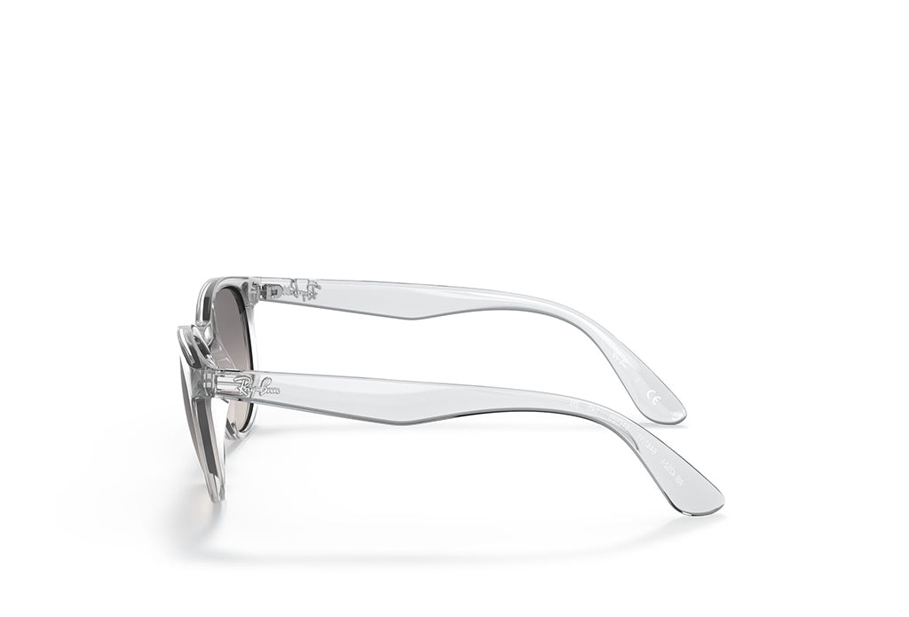 Ray-Ban 4252I Sunglass
