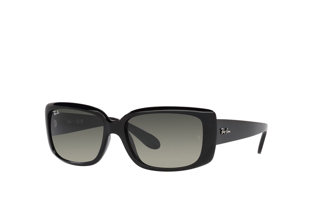 Ray-Ban 4389 Sunglass