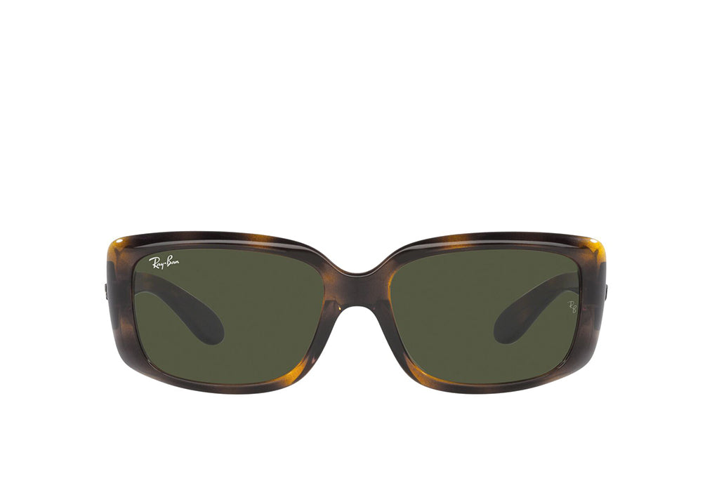 Ray-Ban 4389 Sunglass
