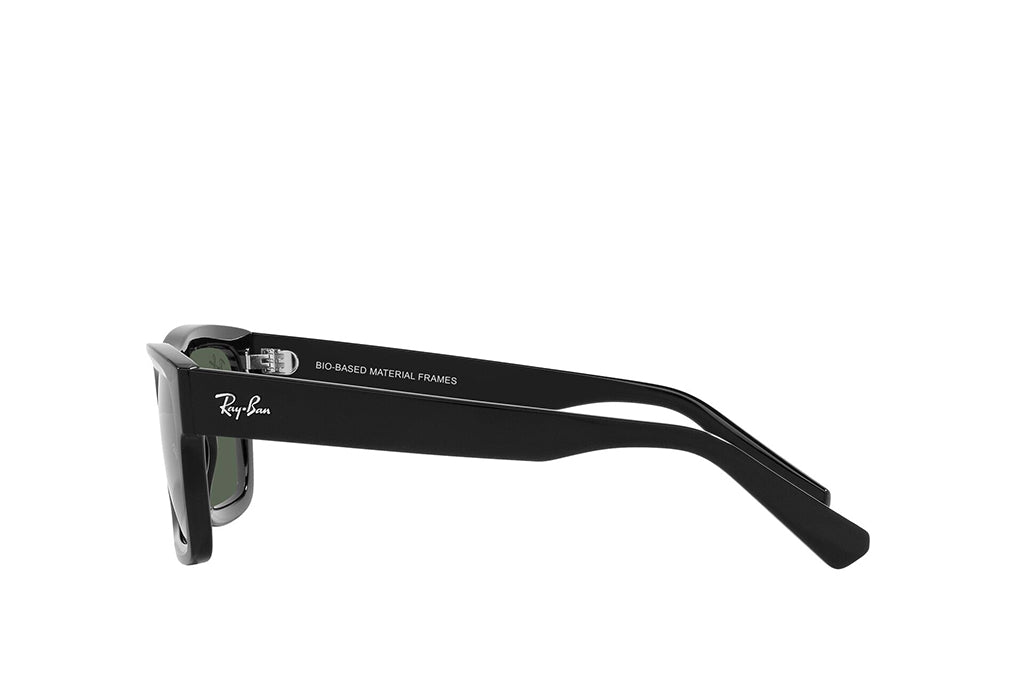 Ray-Ban 4396 Sunglass