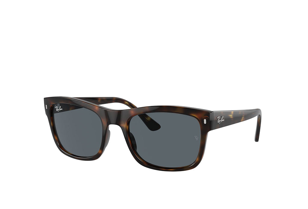 Ray-Ban 4428 Sunglass