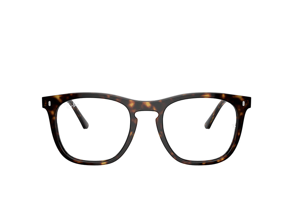 Ray-Ban 2210V Spectacle