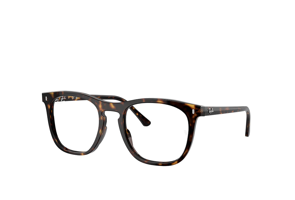 Ray-Ban 2210V Spectacle