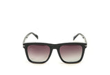 Phillipe Morelle 5115 Sunglass