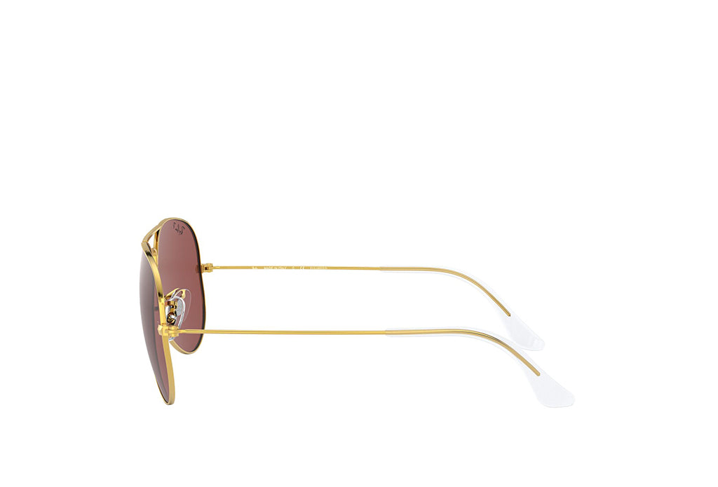 Ray-Ban 3025 Sunglass