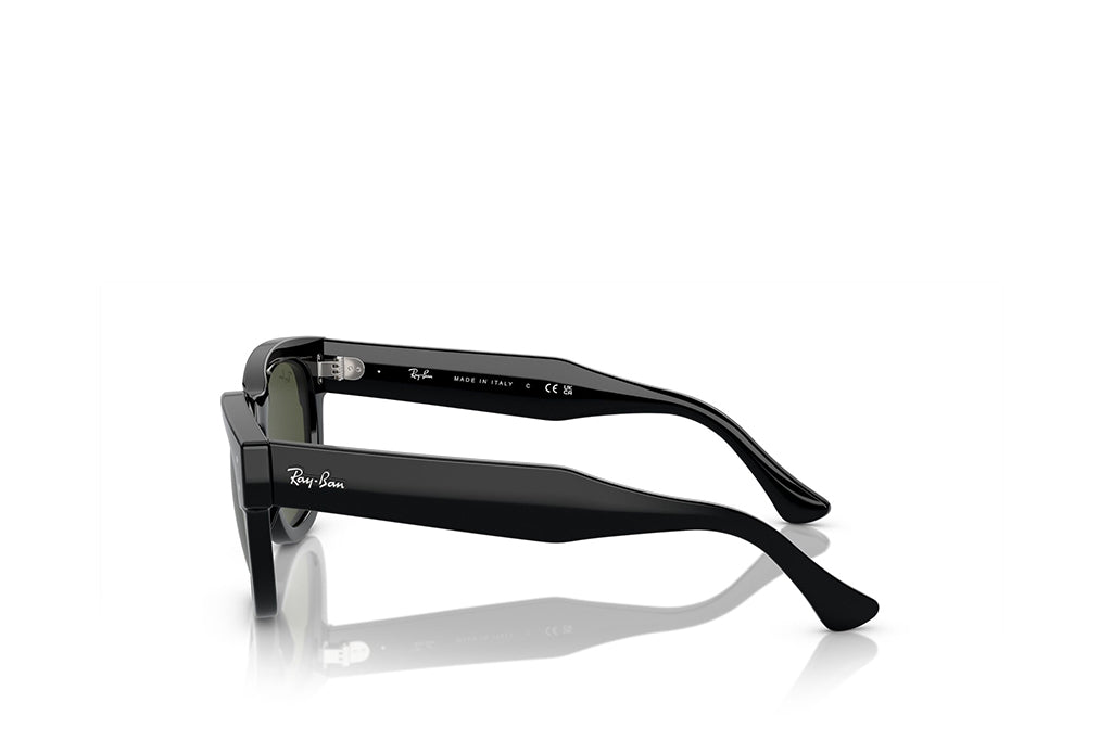 Ray-Ban 0298S Sunglass – Himalaya Optical