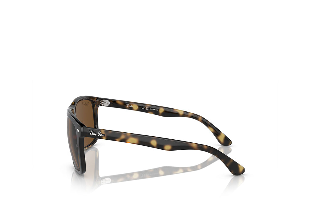 Ray-Ban 4547 Sunglass