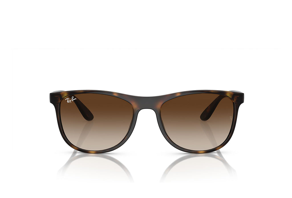 Ray-Ban 4412I Sunglass