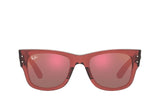 Ray-Ban 0840S Sunglass