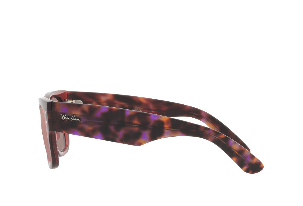 Ray-Ban 0840S Sunglass