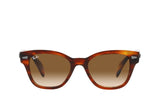 Ray-Ban 0880S Sunglass