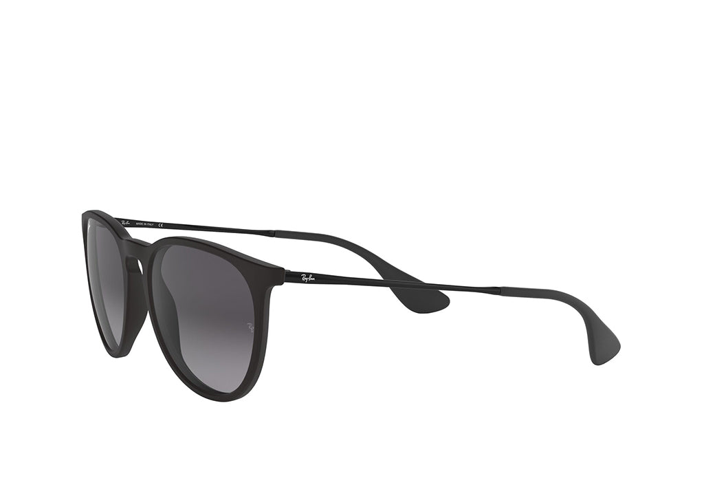 Ray-Ban 4171 Sunglass