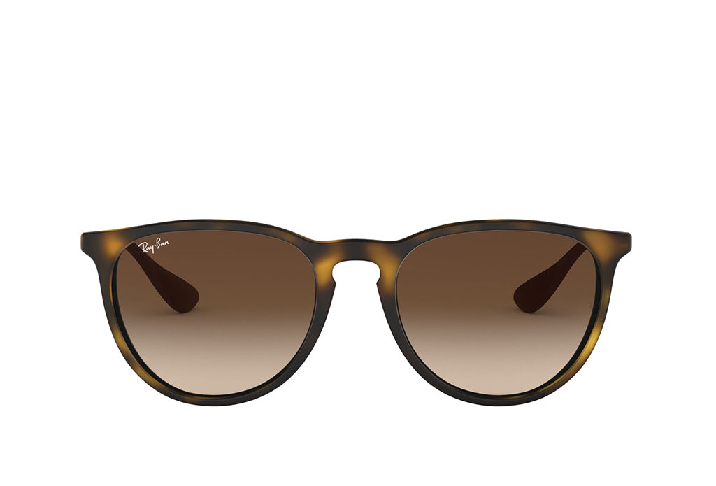 Ray-Ban 4171 Sunglass – Himalaya Optical