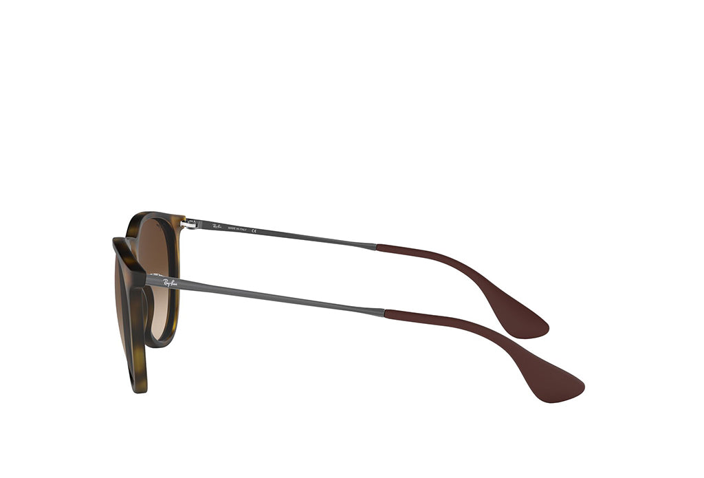 Ray-Ban 4171 Sunglass