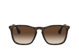 Ray-Ban 4187 Sunglass