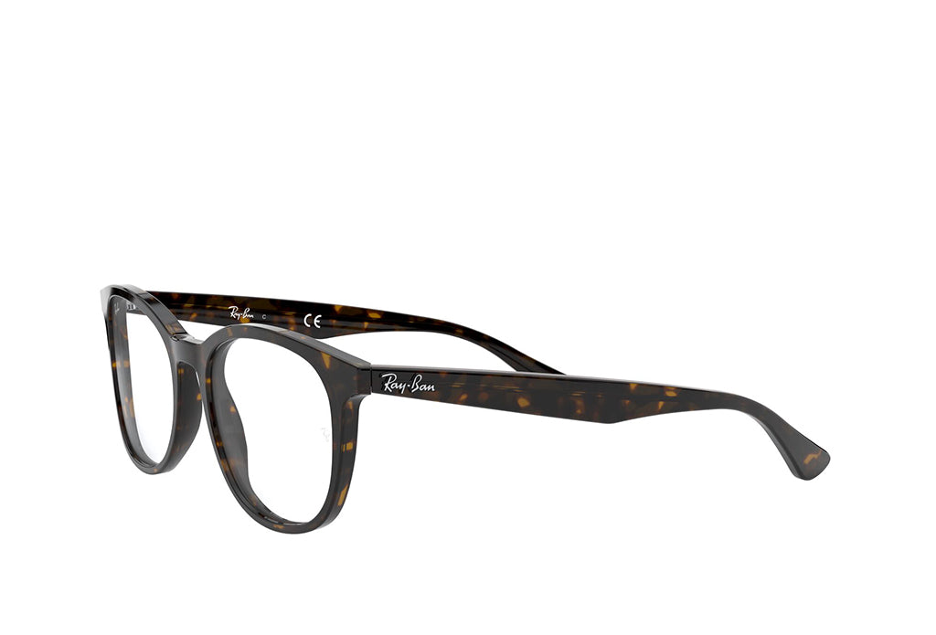 Ray-Ban 5356 Spectacle