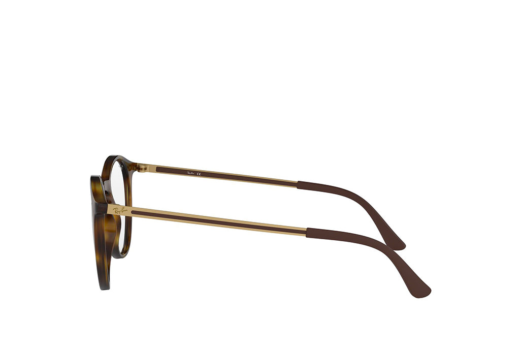 Ray-Ban 7132 Spectacle