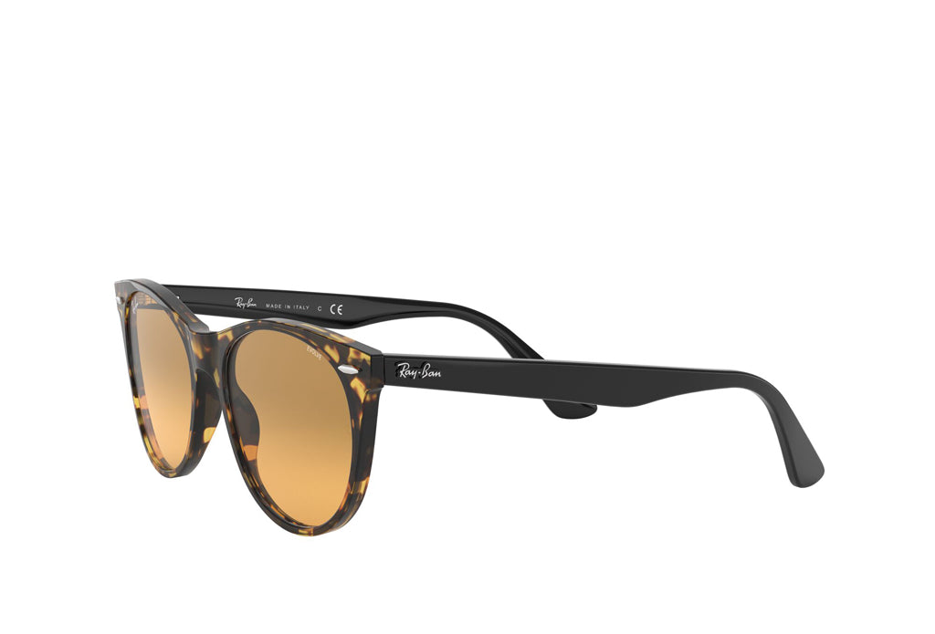 Ray ban 2185 polarized online