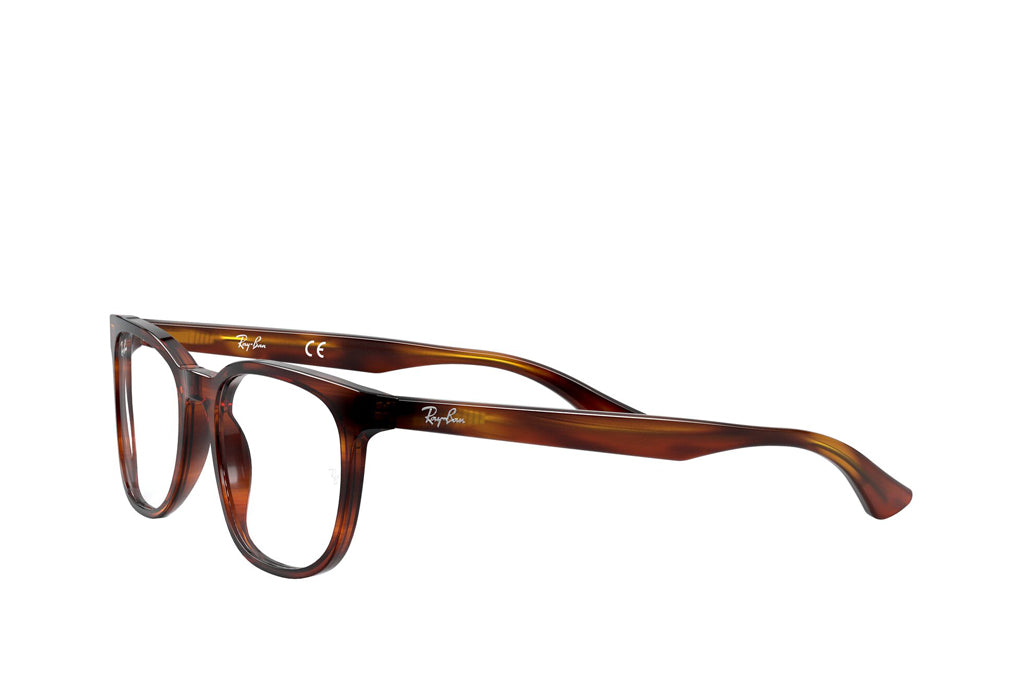 Ray-Ban 5369 Spectacle