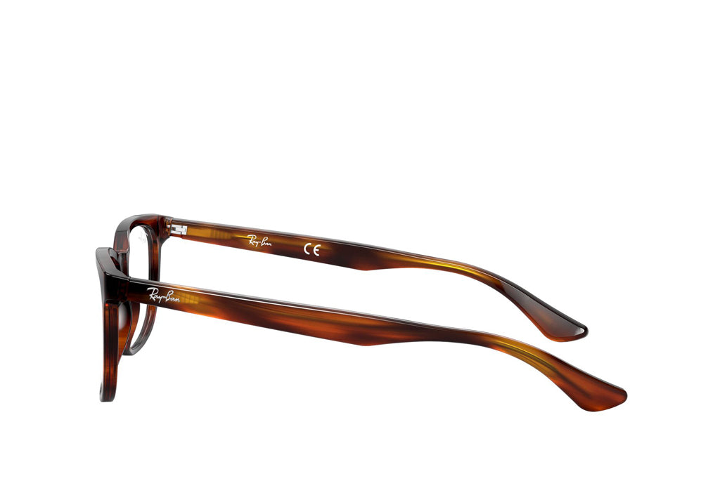 Ray-Ban 5369 Spectacle