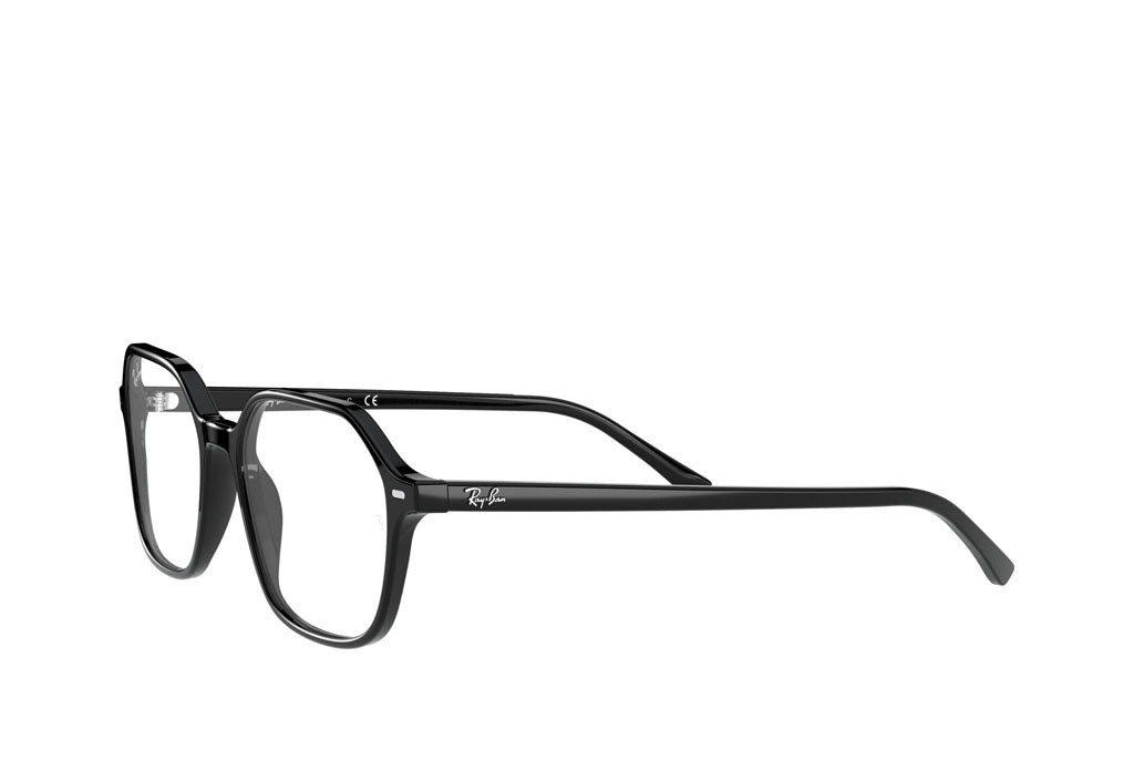 Ray-Ban 5394 Spectacle