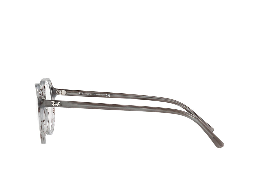 Ray-Ban 5395 Spectacle