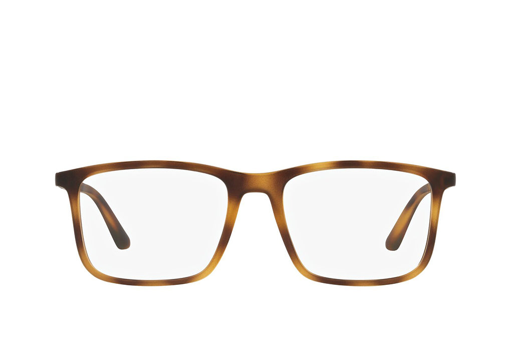 Emporio Armani 3181 Spectacle