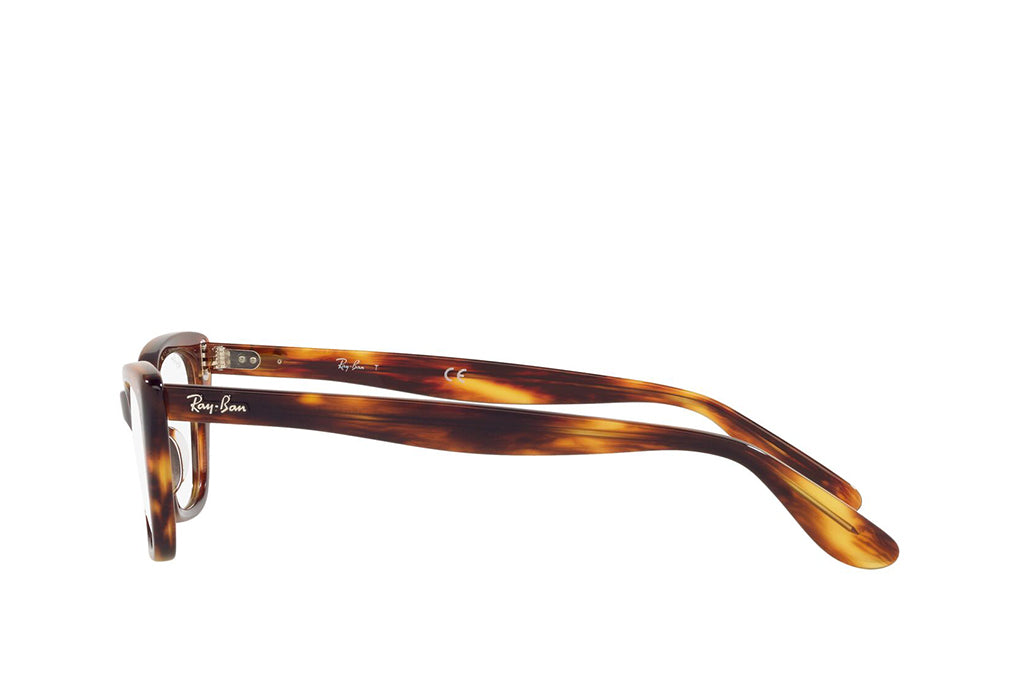 Ray-Ban 5499 Spectacle