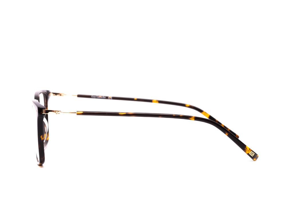 Guy Laroche 208 Spectacle