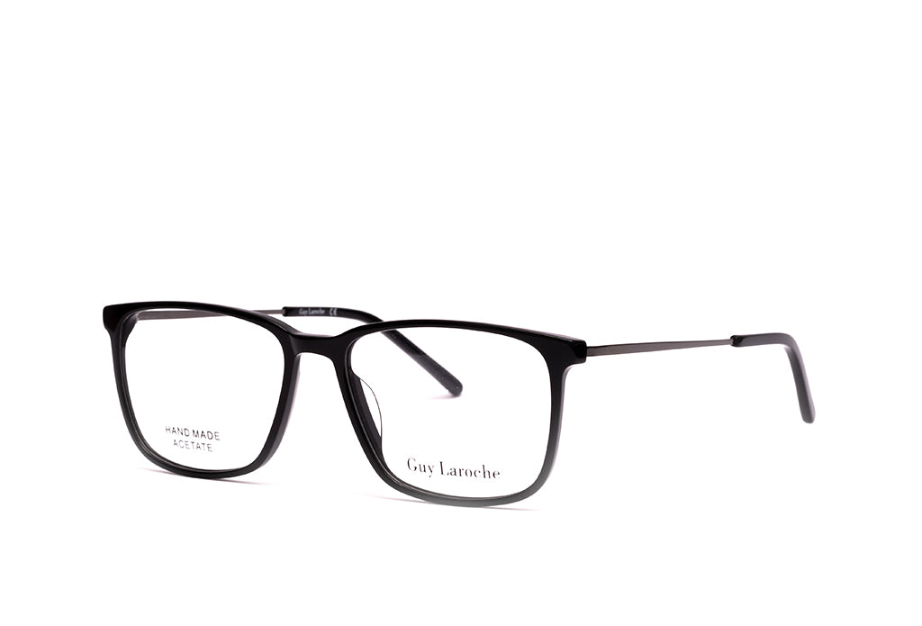 Guy Laroche 209 Spectacle