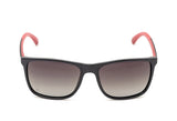 Phillipe Morelle 843 Sunglass