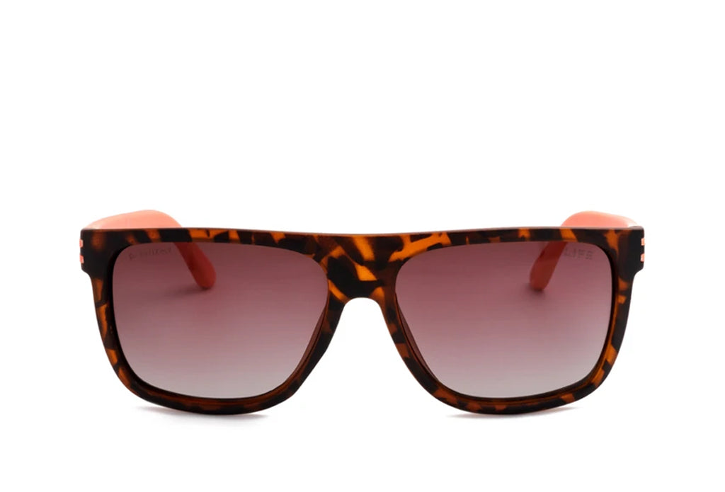 Spartan 147 Sunglass