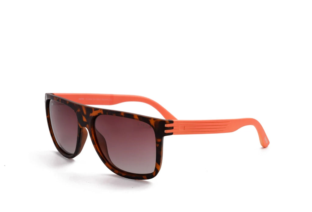 Spartan 147 Sunglass