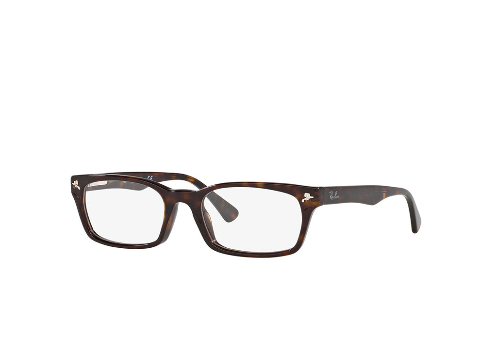 Ray-Ban 5017A Spectacle