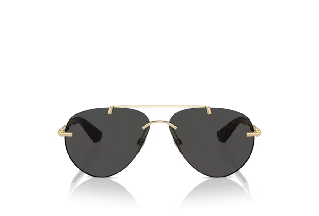 Burberry 3151 Sunglass