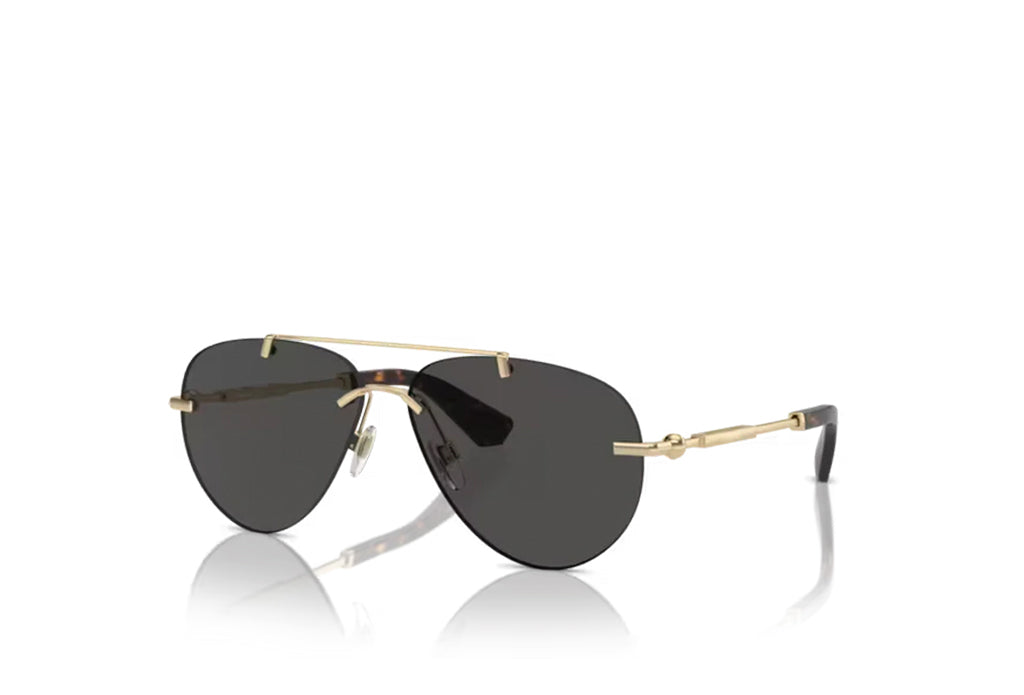 Burberry 3151 Sunglass