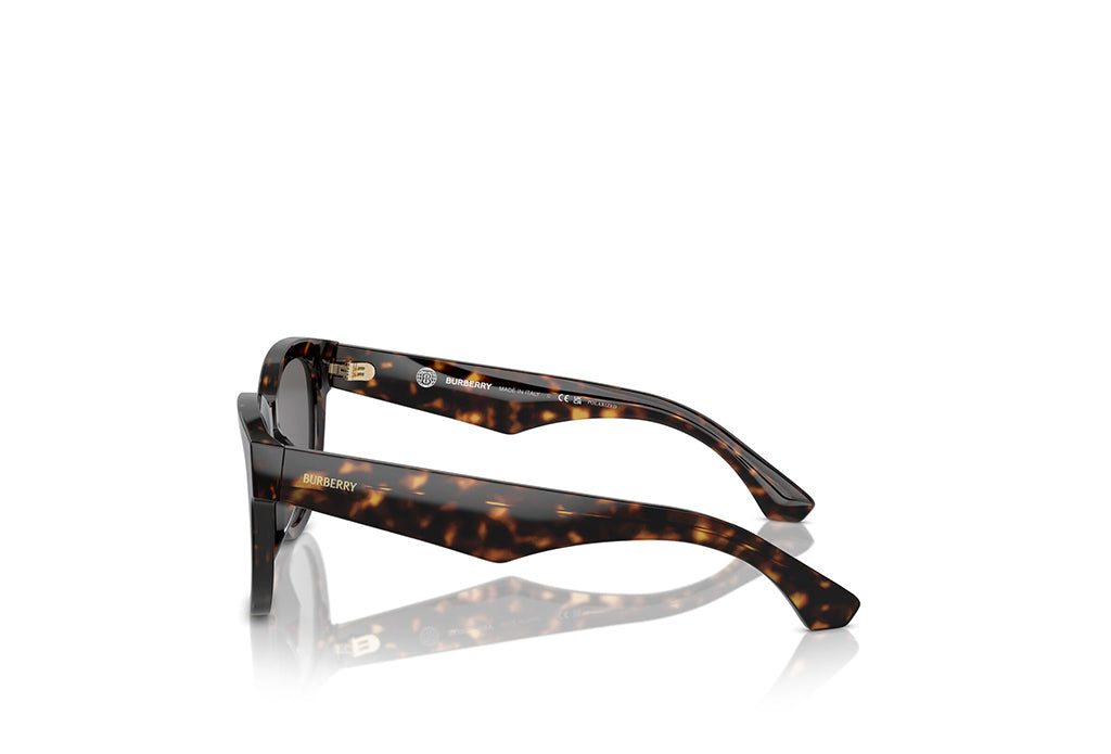 Burberry 4432U Sunglass – Himalaya Optical