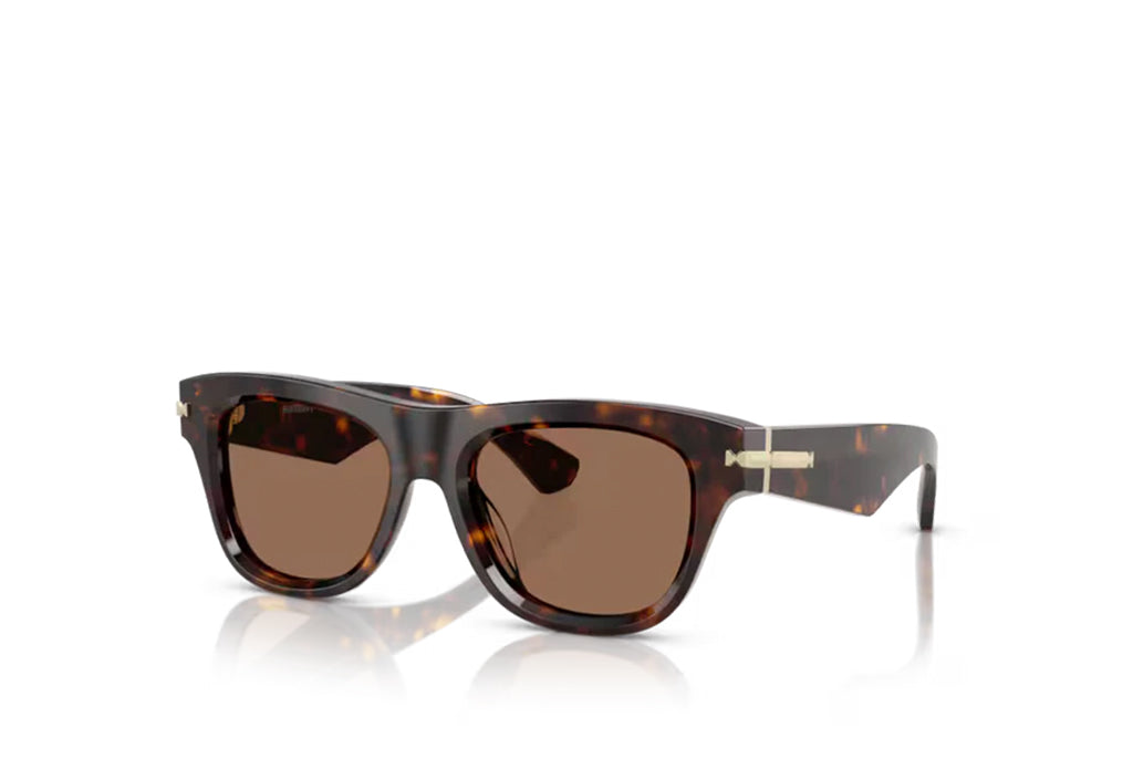 Burberry 4438 Sunglass